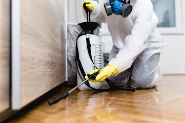 Best Local Pest Control Services  in Wrightsville, GA