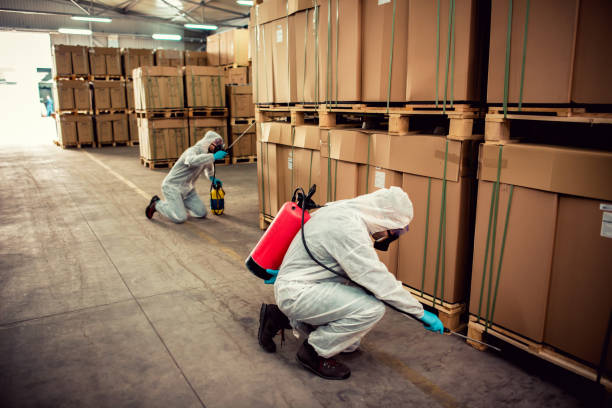 Best Emergency Pest Control  in Wrightsville, GA