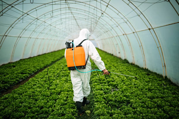 Best Pest Control for Homes  in Wrightsville, GA