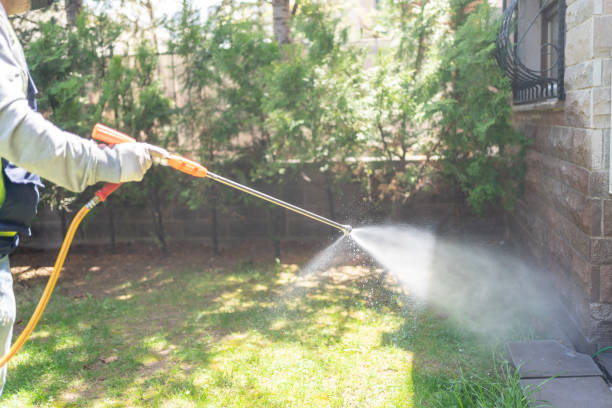 Best Best Pest Control Companies  in Wrightsville, GA