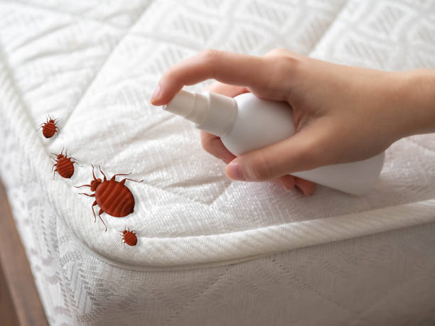 Professional Pest Control in Wrightsville, GA