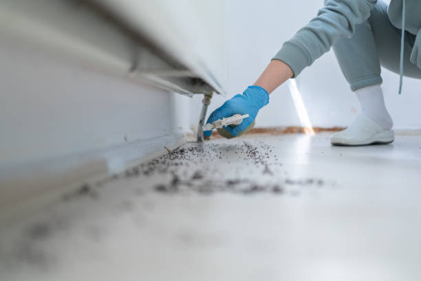 Best Commercial Pest Control Services  in Wrightsville, GA