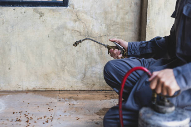Best Ant Control Services  in Wrightsville, GA