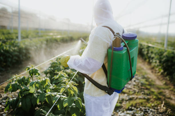 Best Pest Control for Restaurants  in Wrightsville, GA